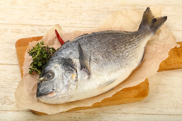 Raw dorada fish