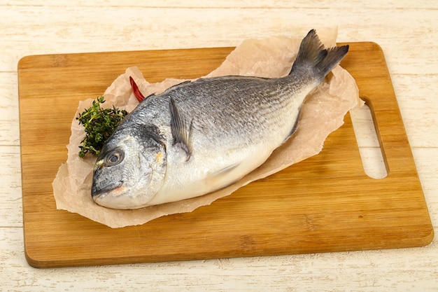 Raw dorada fish