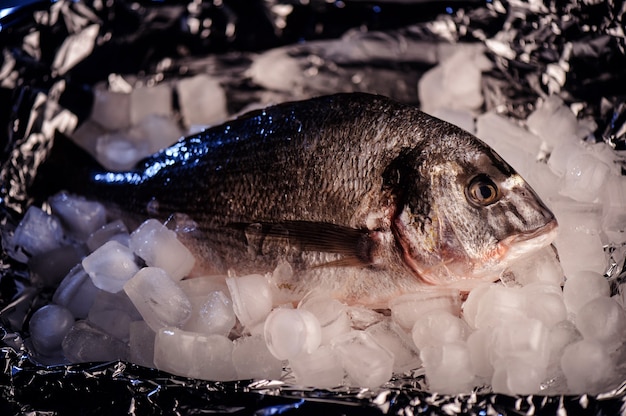 Raw dorado fish lying on ice