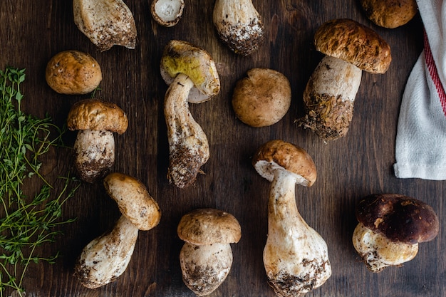 Raw edible porcini mushrooms on rustic dark wooden surface