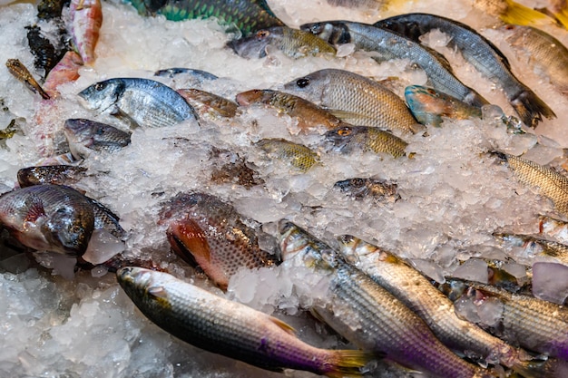 Raw fish for sale at the street market