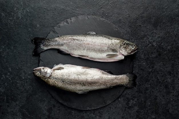 raw fish trout with spices ready for cooking on a stone background