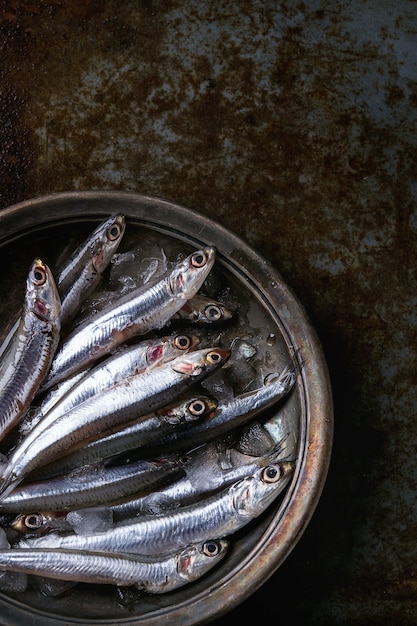 Raw fresh anchovies fishes