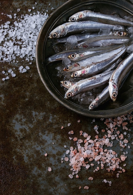 Raw fresh anchovies fishes