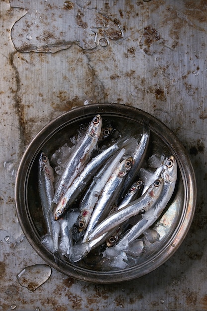 Raw fresh anchovies fishes