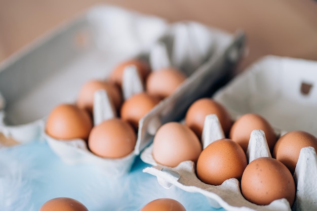 Raw fresh brown chicken eggs and white fluffy birds feathers on light blue background. Selective focus. Organic food, healthy eating, dieting, farm products, happy Easter concept. Copy space.