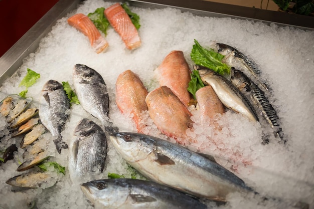 Raw Fresh Fish Chilling on Bed of Cold Ice in Seafood Market Stall