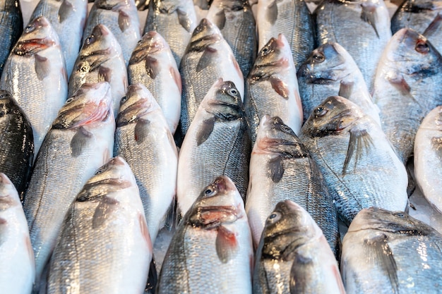 Raw of fresh fish at the seafood market. Food.