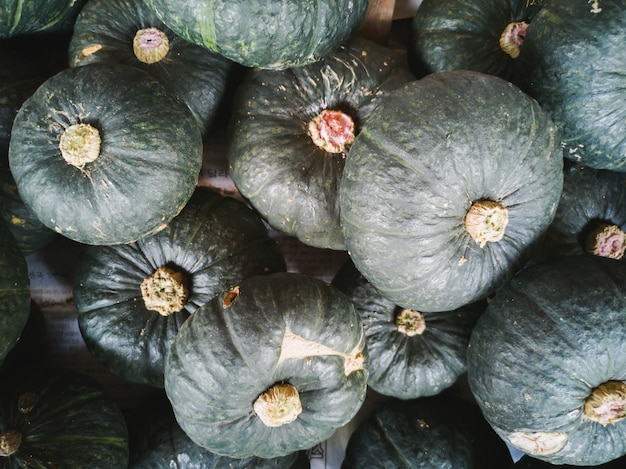 Raw and fresh green pumpkin selling in open markit