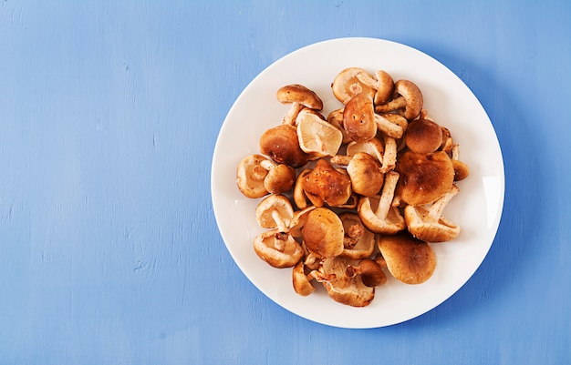 Raw fresh mushroom shiitake on blue background. Top view. Flat lay