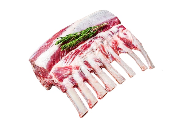 Raw fresh rack of lamb meat Isolated on white background Top view