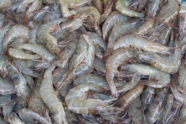 Raw fresh Shrimp, prawn on ice sell in market