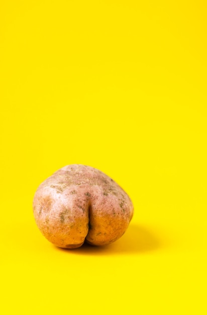 Raw funny potato in a shape of ass on bright yellow background.