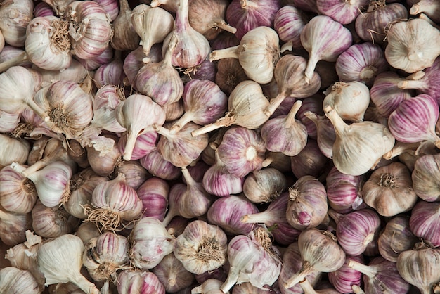 raw garlic in the heads on the agricultural grocery market