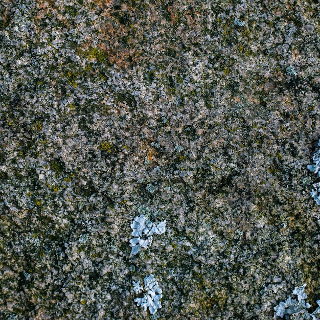 Raw gray granite rock texture background Fragment of natural stone wall