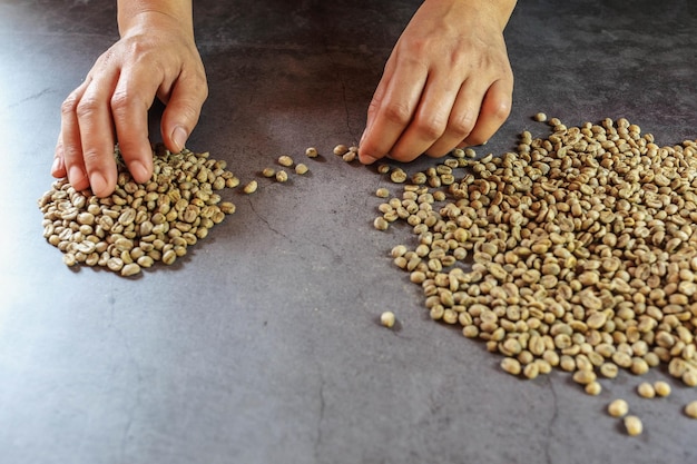 Raw green coffee beans in hand