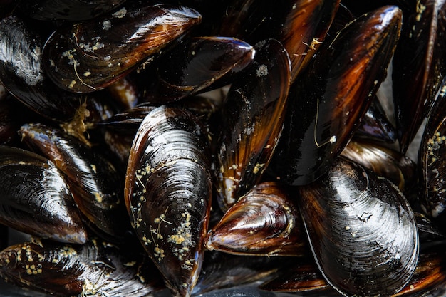 raw mussel shell seafood meal food snack on the table copy space food background