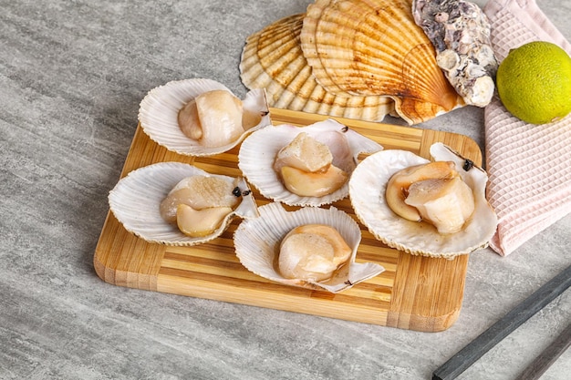 Raw natural scallop in its shell ready for cooking