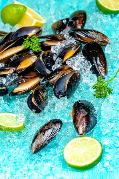 raw open leaves of sea river mussels, blue sea ice on the ice, slices of lemon and lime are sliced