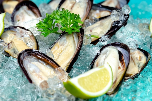 raw open leaves of sea river mussels, blue sea ice on the ice, slices of lemon and lime are sliced