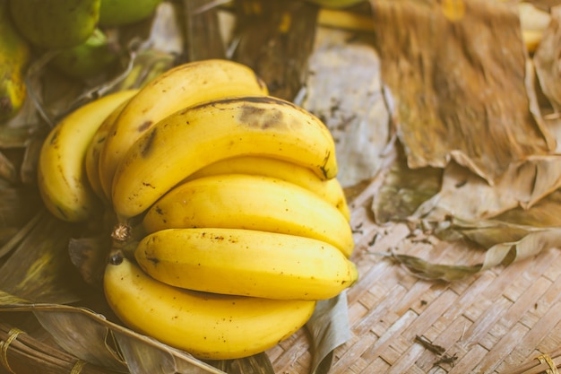 Raw organic bunch of bananas, Cavendish banana.