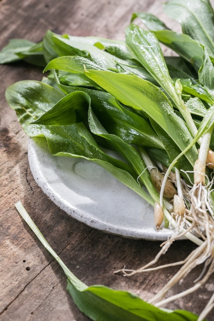 Raw organic green ramps or wild garlic