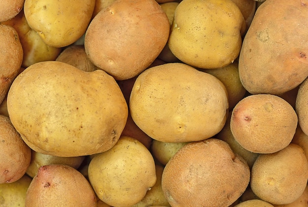 Raw organic potato close up background