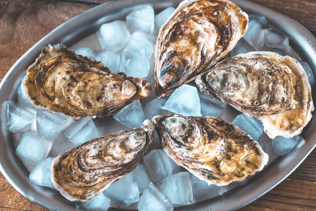 Photo raw oysters on the metal tray