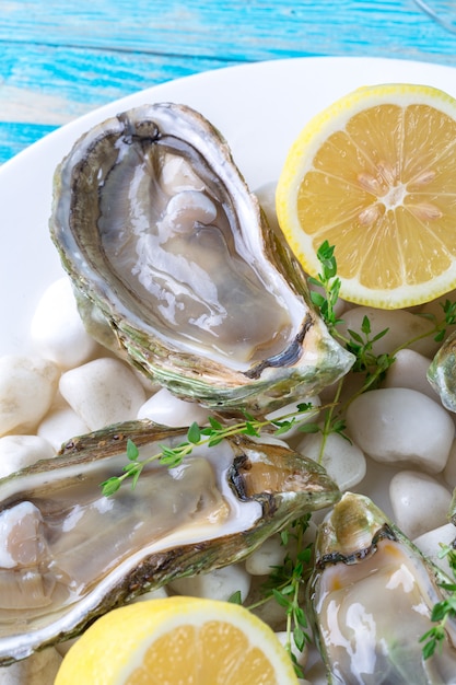 Raw oysters with lemon and ice