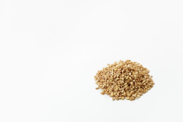 Raw pearl barley on white background