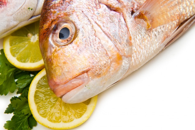 Raw porgy on white background