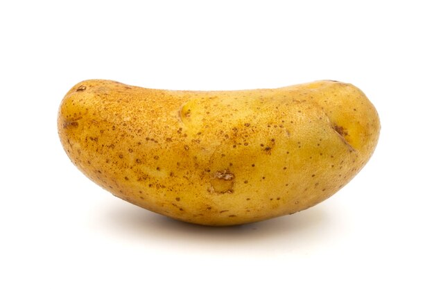 Raw potato on a white background