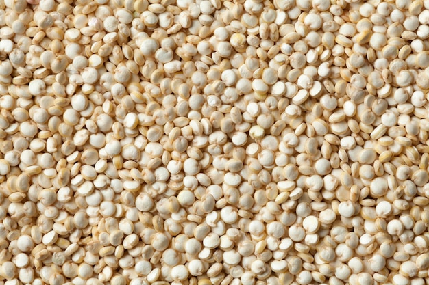 Raw Quinoa seeds close up