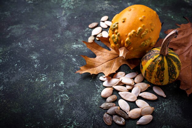 Raw and roasted pumpkin seeds. 