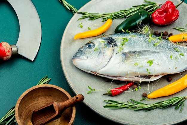 Raw sea bream dorado fish