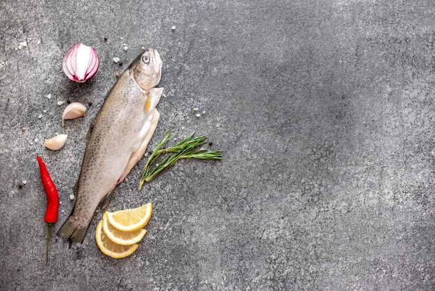 Raw trout fish on stone background with copy space for your text