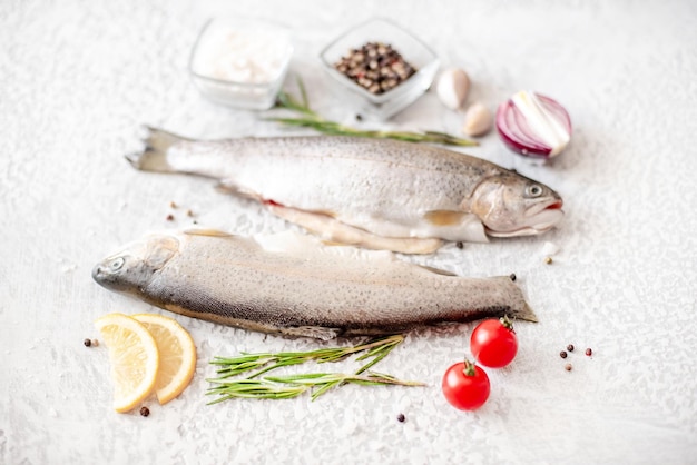 Raw trout fish on stone background