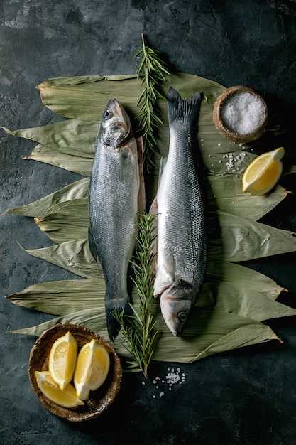 Raw uncooked fish sea bass