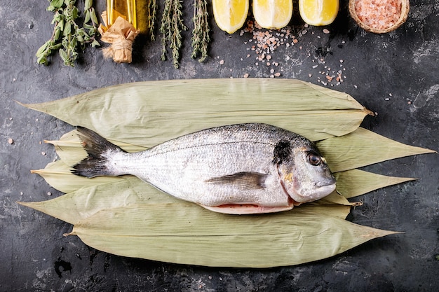 Raw uncooked fresh gutted sea bream or dorado fish served with lemon, green salad, rosemary, olive oil and pink salt on bamboo leaves over dark texture surface. Flat lay, copy space