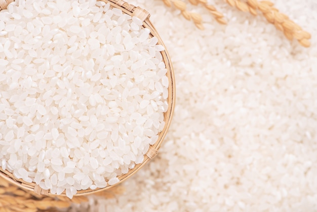 Raw white polished milled edible rice crop on white background in brown bowl, organic agriculture design concept. Staple food of Asia, close up.