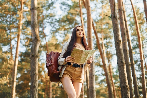 Reading the map Woman is traveling alone in the forest at daytime at summer