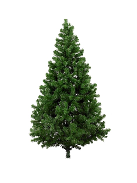 Real Christmas tree isolated on white background