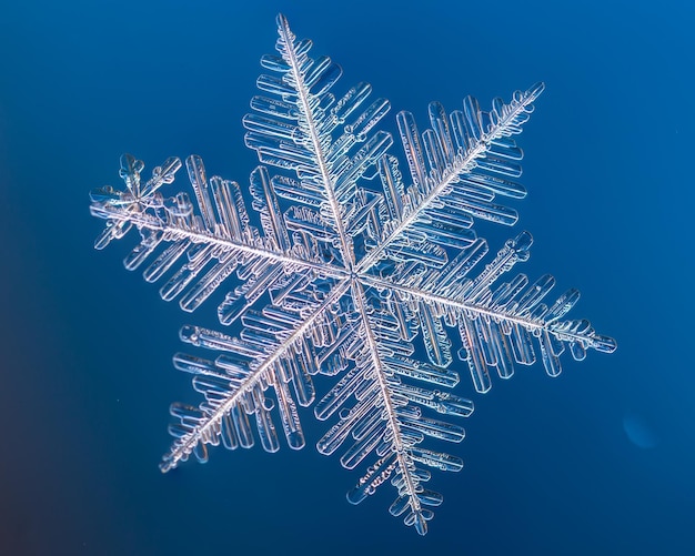 A real snowflake macro lies on a blue background, as if flying in sky