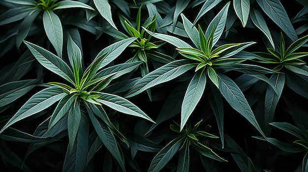 Realistic Green Plant Leaves Background