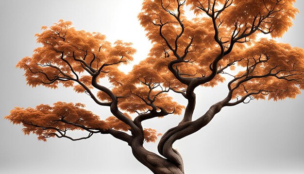 Realistic trees on white background