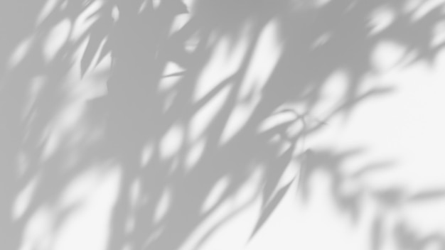 Realistic tropical leaves shadow overlay effect on white wall