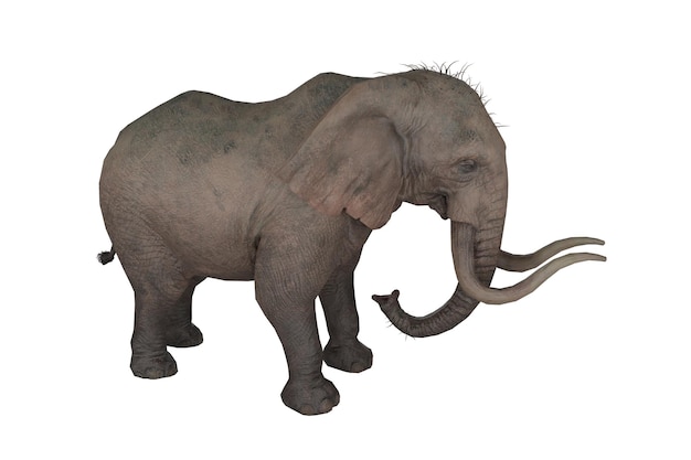 realistic wild elephant 3d rendering