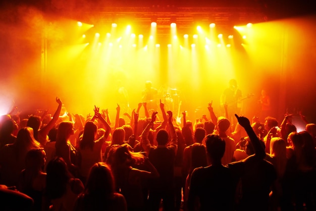 Rear-view of a cheering crowd at a music concert- This concert was created for the sole purpose of this photo shoot, featuring 300 models and 3 live bands. All people in this shoot are model released.