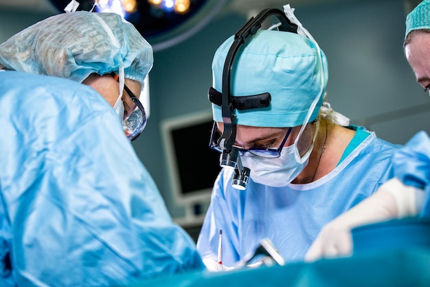 Photo rear view of doctor examining patient in laboratory