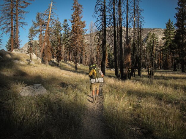 Photo rear view full length of hiker walking at yosemite national park